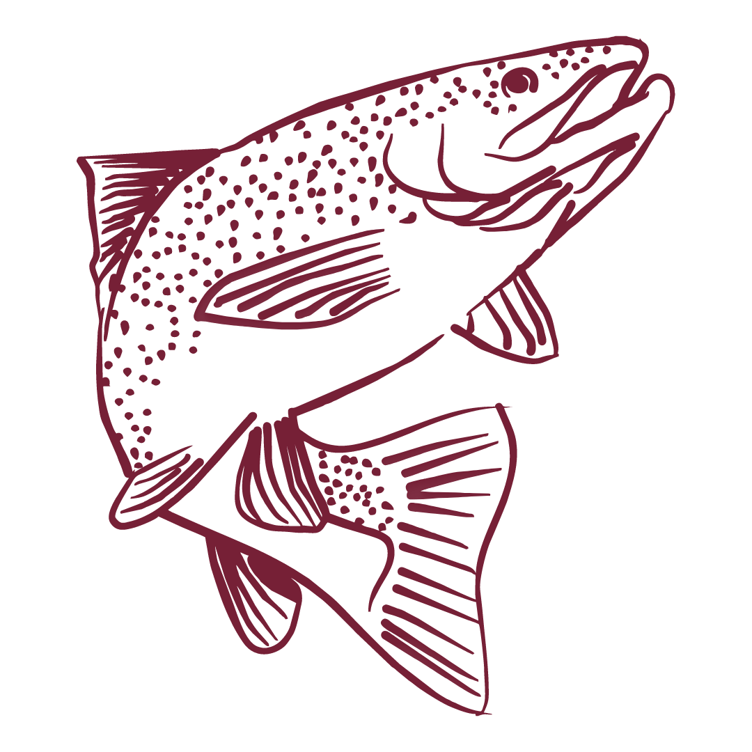 Omega 3 in der Hashimoto Ernährung: Grafik mit einem Fisch