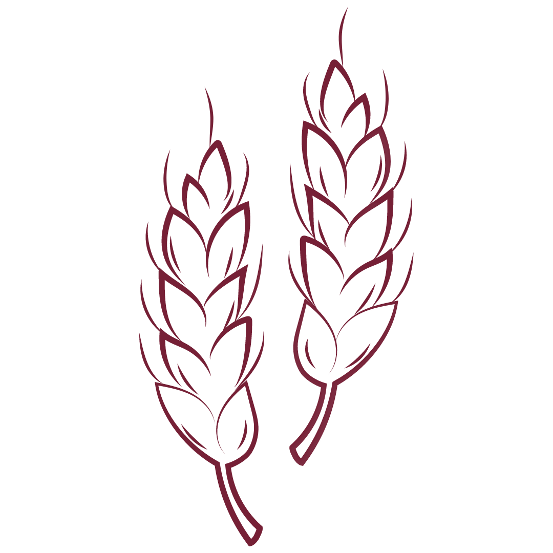 Weizen und Gluten bei Hashimoto reduzieren: Grafik mit Getreide