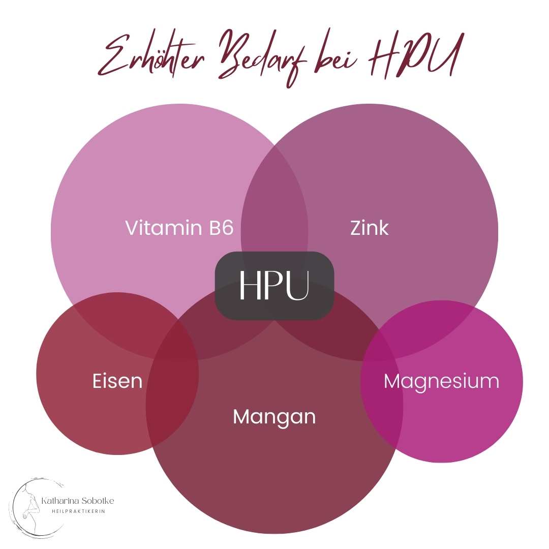 HPU_Stoffwechselerkrankung_Vitamine_Mineralstoffe Grafik mit Mikronährstoffen